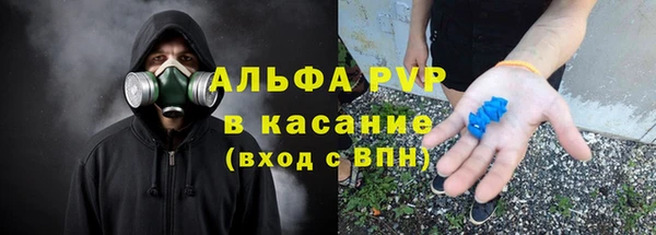 гидра Алексин