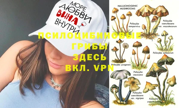 дурь Алзамай