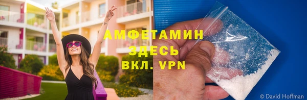 гидра Алексин