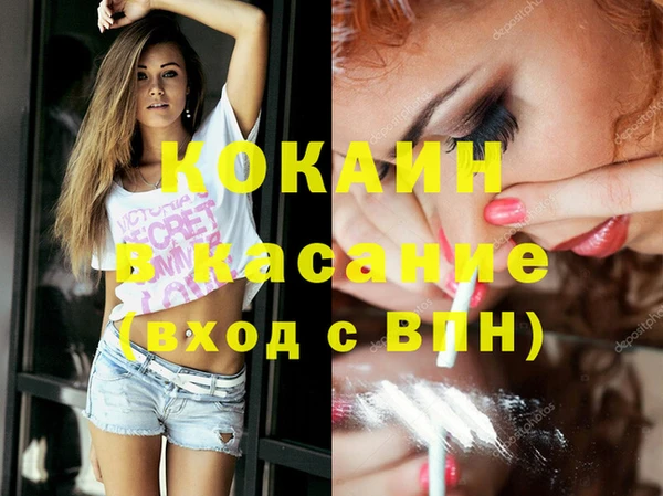 гидра Алексин
