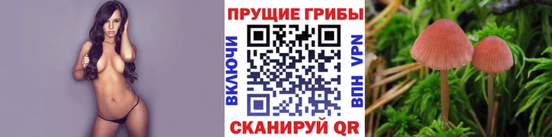 Псилоцибиновые грибы Magic Shrooms  Ликино-Дулёво 
